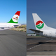 Illustration for article titled Lopták a Sólyom Airways dizájnját?